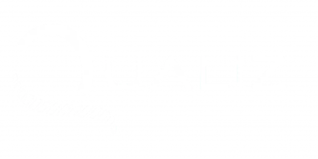 Qualiz logo blanco